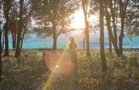 Borgo Belsedere - biofarm estate resort in Tuscany - Foto 46