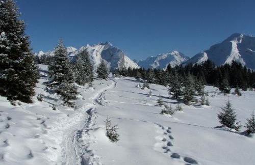 Les Lucioles - Photo 23