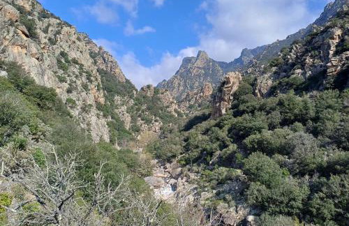 Marseillan Pomérols loue cottage - Foto 20