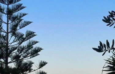 Anatoli apartment - Photo 32