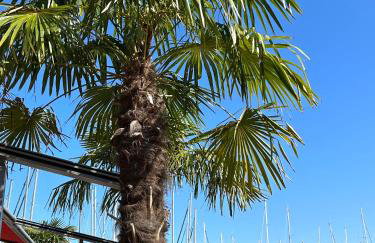 Ferienhaus Lines to Huus Strandnah nahe Heiligenhafen & Großenbrode - Foto 2