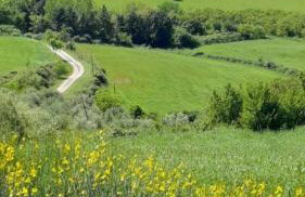Tuscany Hills - Comfort 10 minutes from Montepulciano and Pienza - Photo 42