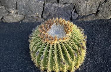 Villa Patos - Photo 43