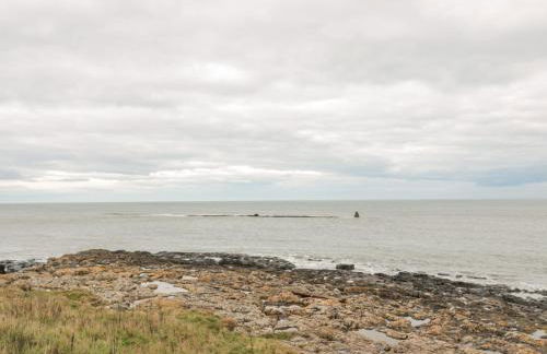 Summer Rose - Foto 35