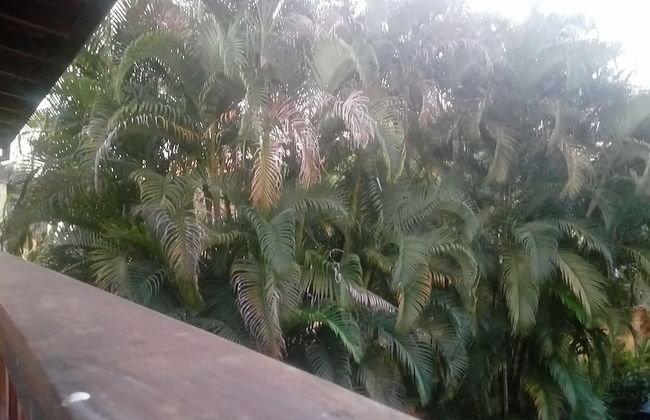 Morada do Beija-Flor - Foto 16