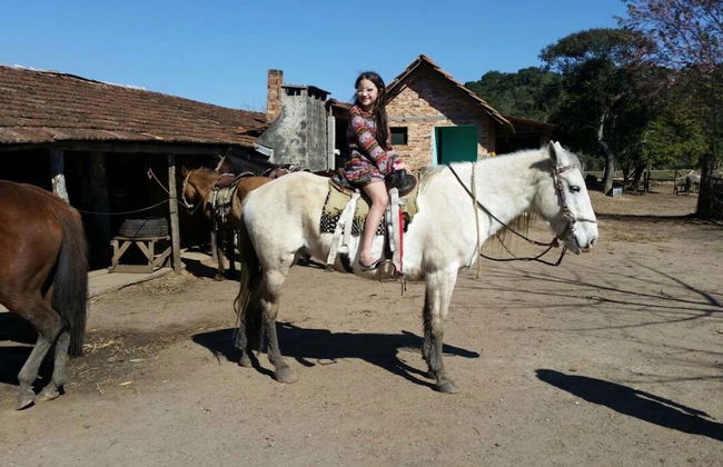 Tour pelo zoológico + Passeio a cavalo - Foto 4
