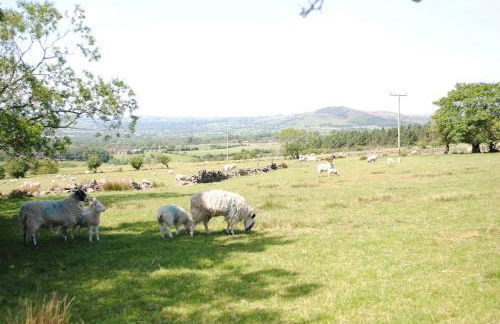 The Lodge at Brambles Farm - Foto 39