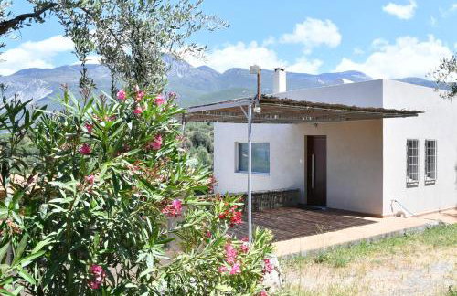 Green 'n Gray Sea & Mountain House - Foto 41