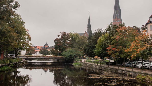 Visite privée dans Uppsala - Photo 5