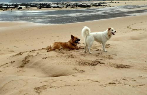 La Casona del Carmen - Foto 39