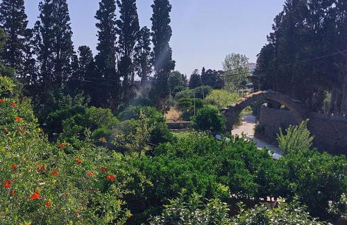 Saint Louis - Foto 65