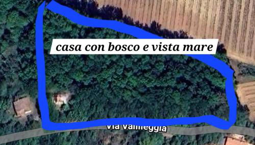 casa con bosco e vista mare - Foto 2