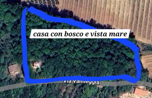 casa con bosco e vista mare - Foto 2