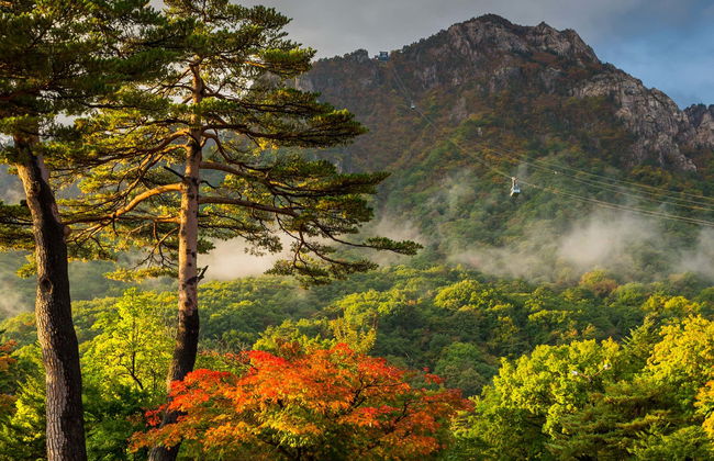 Excursão a Seoraksan - Foto 1