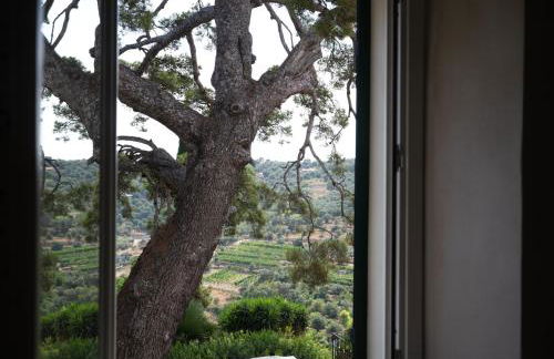 Uliveto Saglietto Agriturismo a Poggi Apartments - Foto 145