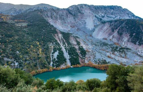 ΑΡΧΟΝΤΙΚΌ Μουζάκι ΚΑΡΔΙΤΣΑ ΤΡΙΚΑΛΑ - Photo 63