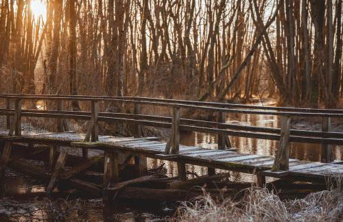 Schönstes kleines Ferienhaus in der Lü-Heide - Foto 32