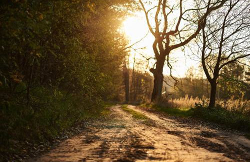 Sercem i Kopytem - Foto 34