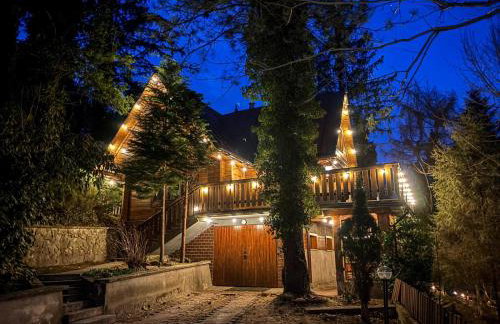 Willa Żarnówka - Foto 46