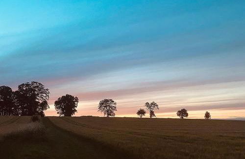 The Cart House - Foto 20