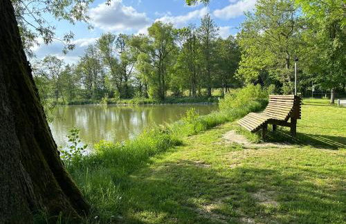 Frankenwald Ferienhaus FourStars am See in Lichtenberg, Bayern, Oberfranken, Bad Steben - Hof -Saale, Rennsteig - Foto 51