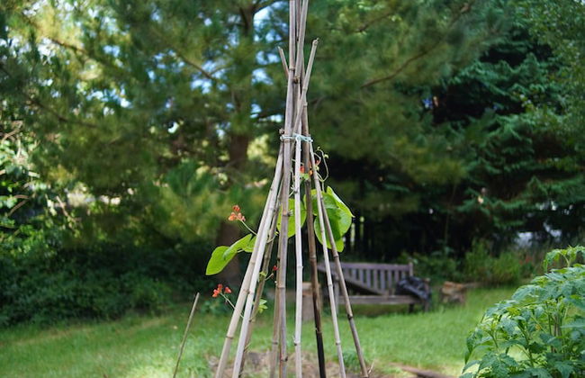 Epiphany House - Foto 62