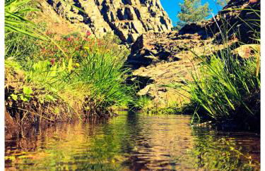 Casa Vinte & Cinco - Alojamento Local - Foto 81