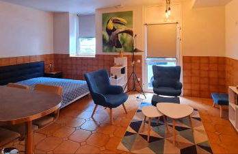 Mazamet : Résidence du Musée centre ville. - Photo 1