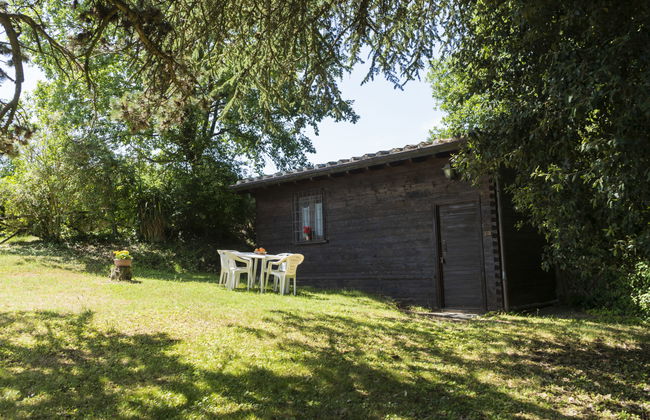 La Capraccia - Foto 15