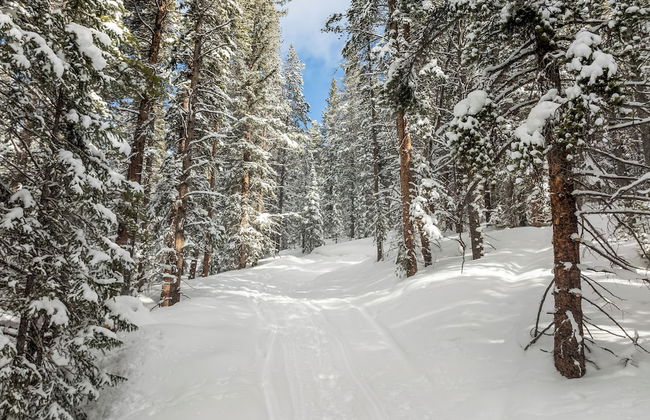 Lichen Huts - Foto 16