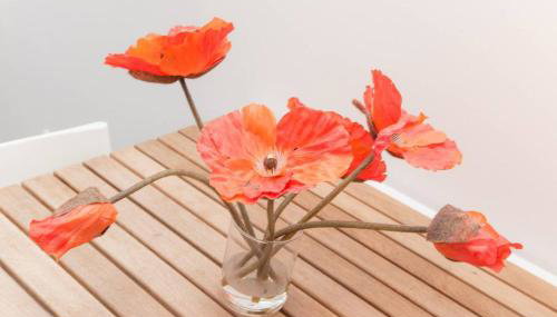 Les Coquelicots - Photo 3