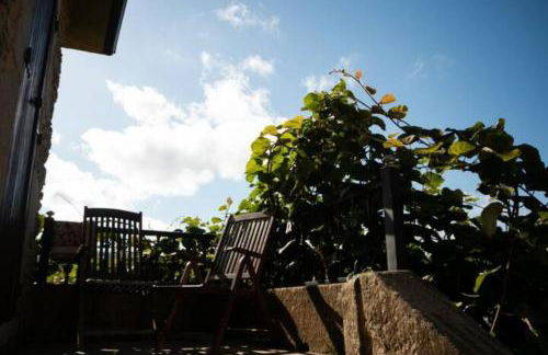 Vieiro Verde - Foto 15