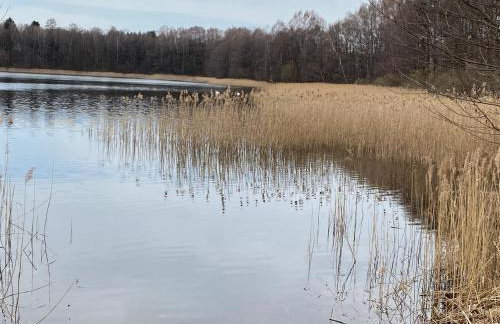 Dom Sielskie Szkotowo - Foto 17