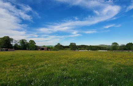 Schulhaus Wettges - Foto 23
