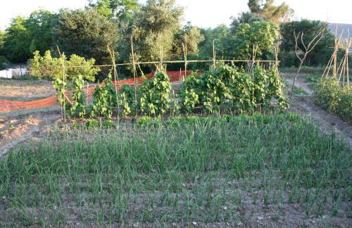 Mas Tulsà Casa Rural Girona - Foto 64