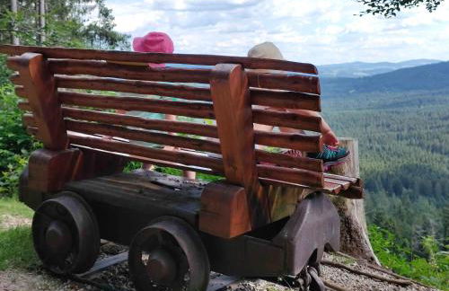 Altes Forsthaus Bodenmais - Foto 34