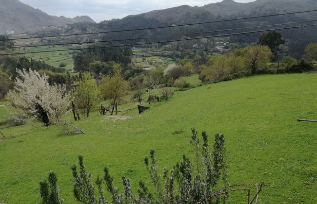 Casa de Paulus - Foto 19