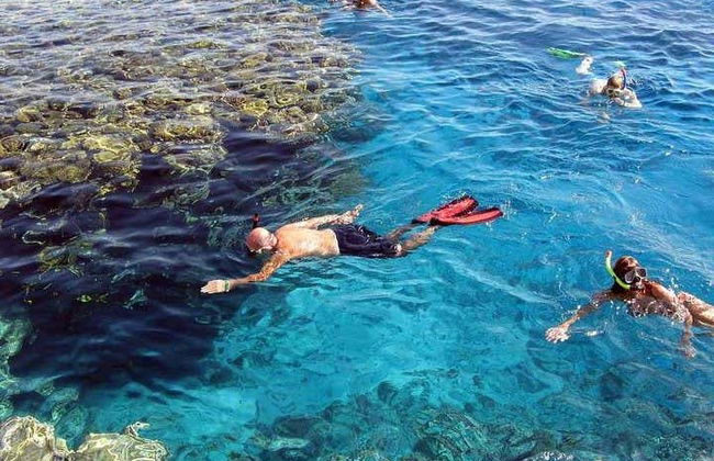Snorkeling in Marsa Mubarak - Photo 2