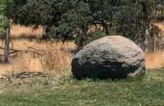 The Sequoia guesthouse - Foto 23