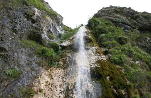 El Serenal - Foto 38