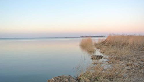 FischLANDinSicht - Foto 4