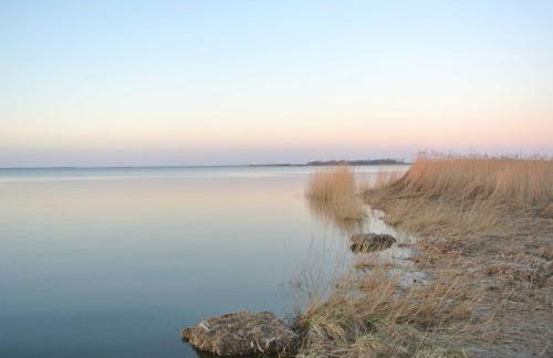 FischLANDinSicht - Foto 4