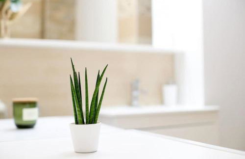 Nusha's place - Foto 24