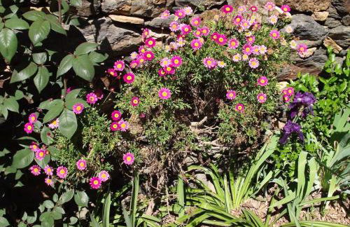 Charming House Terrace Amarante - Foto 63