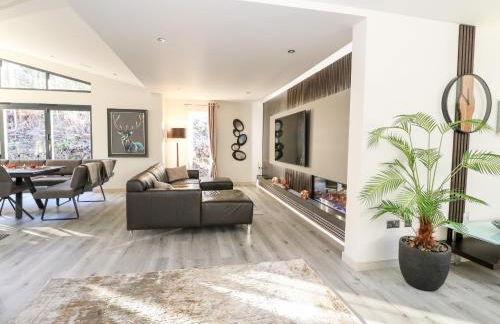 Heilan Roo - Foto 12