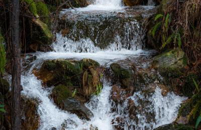 Cabañas Rias Baixas - Foto 68