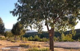 El Telar Arte y Naturaleza - Foto 9