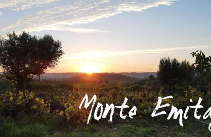 Monte Emitaj - Foto 17