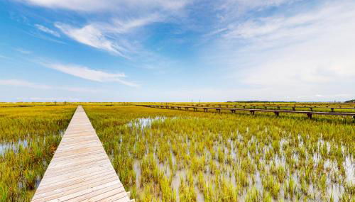 Pink Bird Cottage - Foto 5