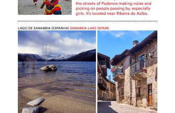 Casa do Galo / Galo House - Foto 32